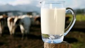 فوائد الحليب كامل الدسم للرجيم