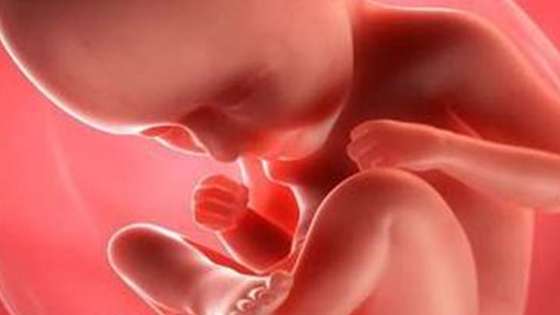 حركة الجنين أسفل البطن في الشهر الخامس وجنسه