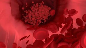 أين تنتج خلايا الدم الحمراء؟